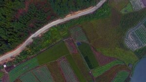 田間航拍（韶關(guān)）